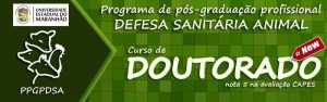 Banner Doutorado
