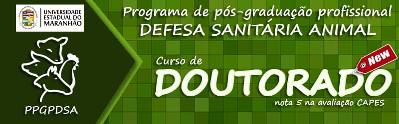 Banner-Doutorado-1-1