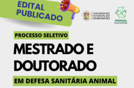 Edital Nº 189/2024-PPG/CPG/UEMA